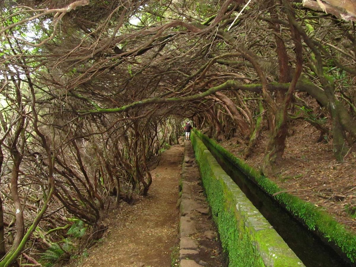 Beautiful View 2 - Arco Da Calheta - Ilha Da Madeira 아파트 외부 사진